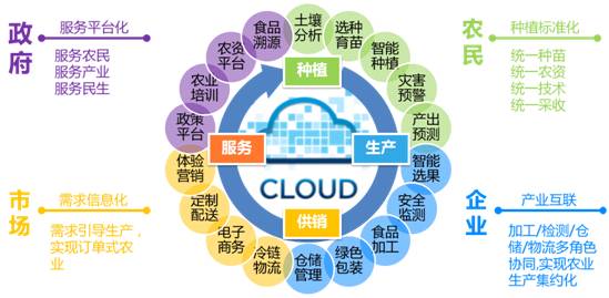 融合創(chuàng)新，智慧賦能 遠光移動互聯(lián)如何以信息技術咨詢服務驅動“互聯(lián)網(wǎng)+農(nóng)業(yè)”落地