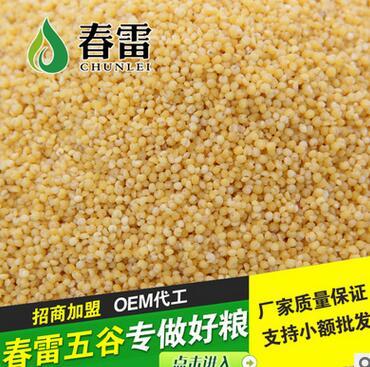 劃算的熟小米供應(yīng)，盡在東旭糧油調(diào)味品——品質(zhì)與價值的完美平衡